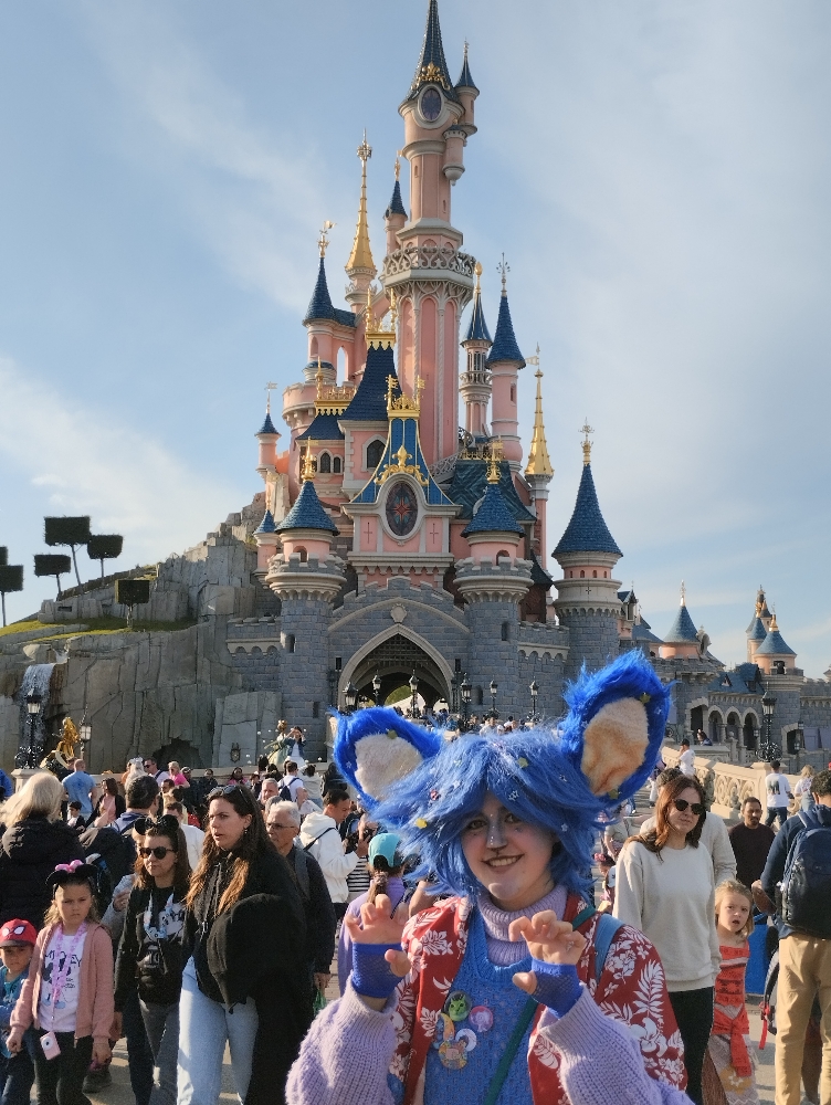 Stitch  Disneyland P - Photo 4