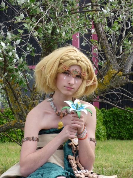 Moon_was_taken - Zelda