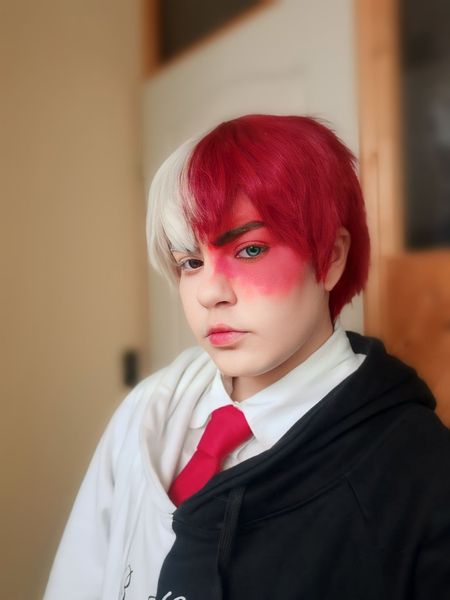 Petit_ornithorynque_ - Shoto Todoroki