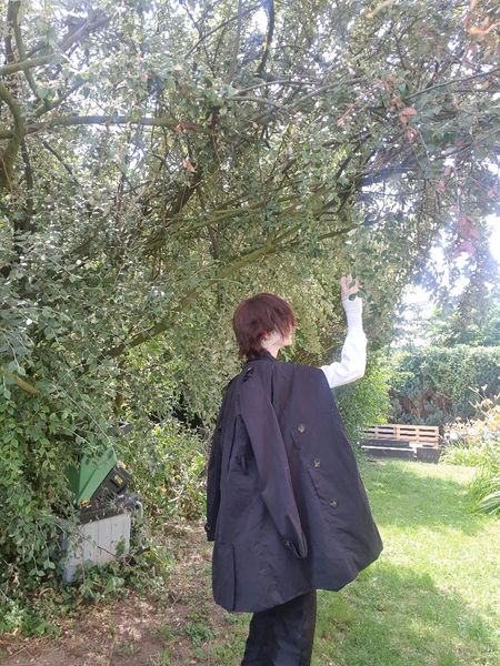 Côme - Dazai