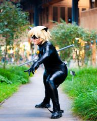 Chat noir preview 3