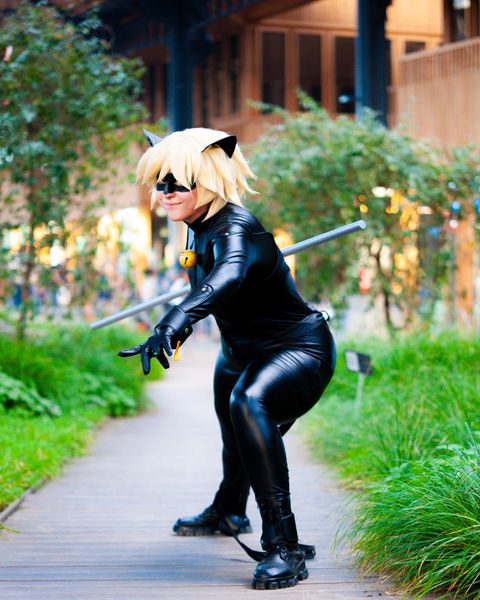 Lionara_artwork - Chat noir
