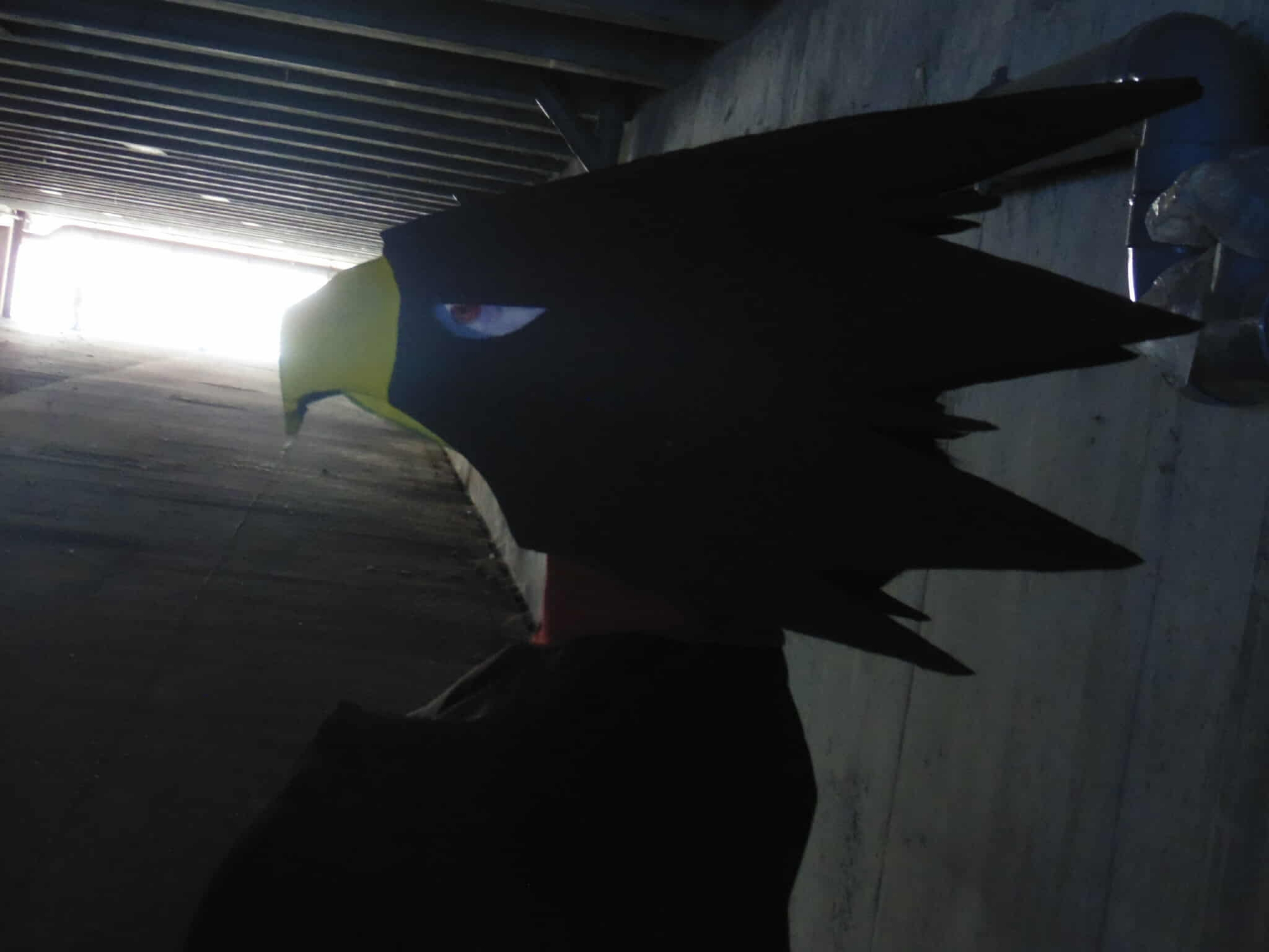 Tokoyami - JapanExpo — photo 13