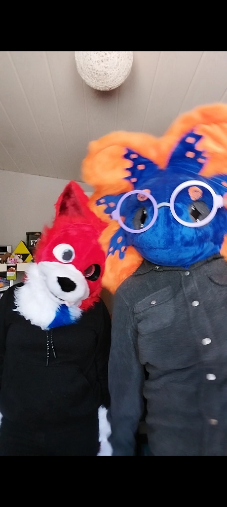 Stellar et Rød Ulva - Photo 2