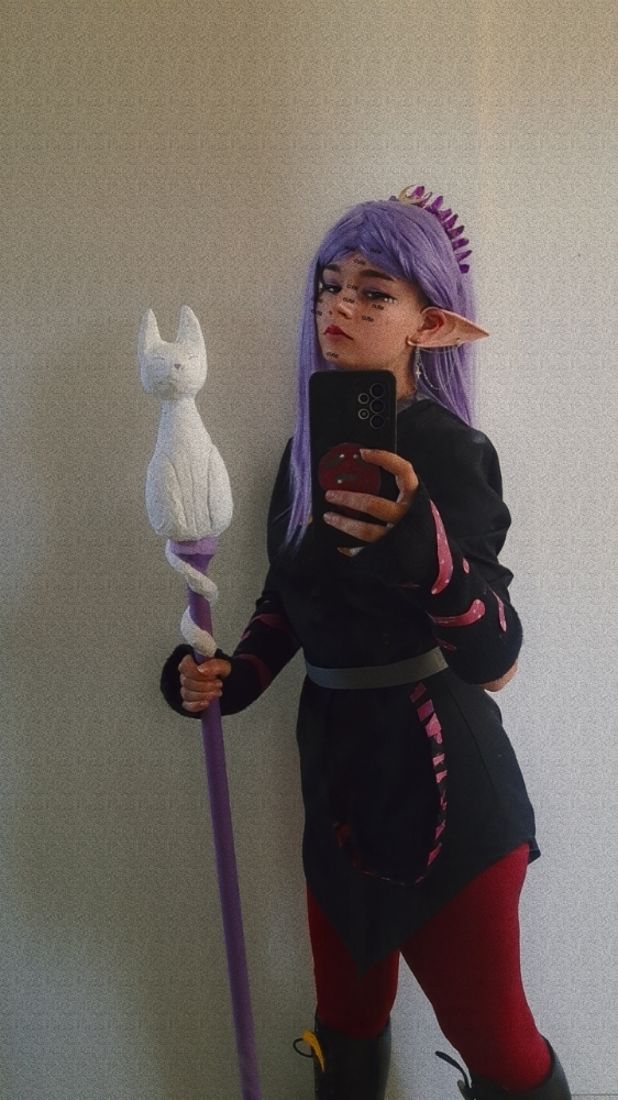 The owl house - Photo 3