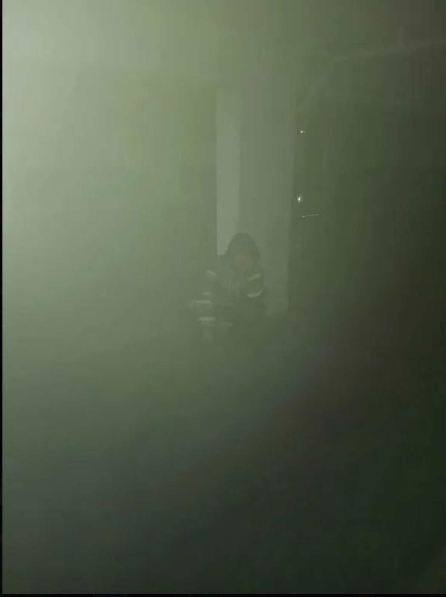 Ticcy toby - Photo 6