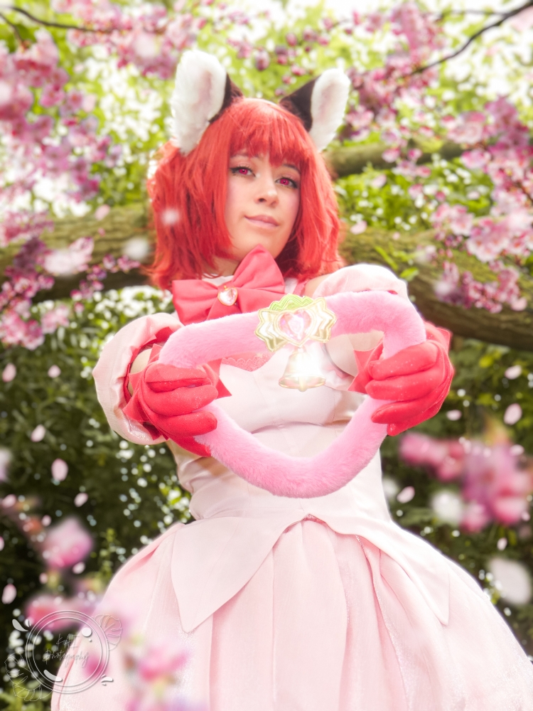 Ichigo Momomiya  - Photo 5