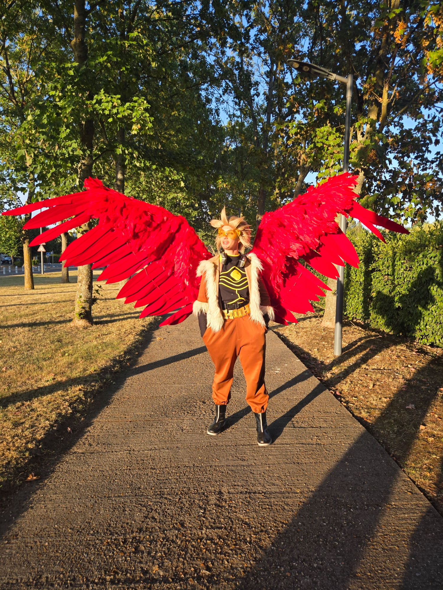 Hawks — photo 75