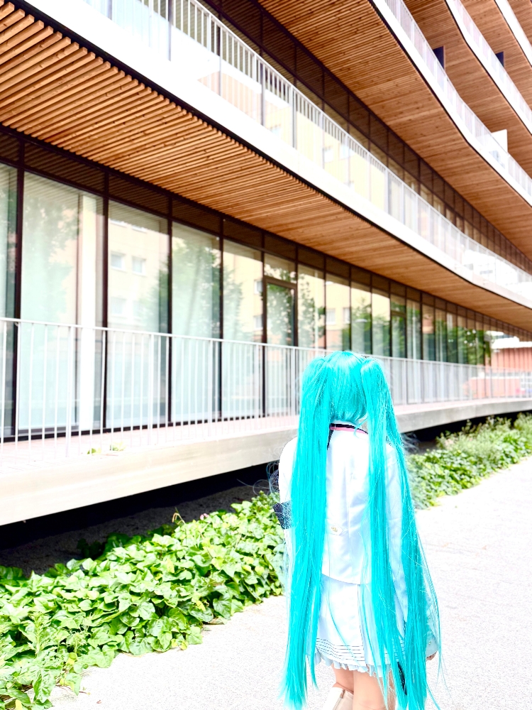 Hatsune Miku — photo 5