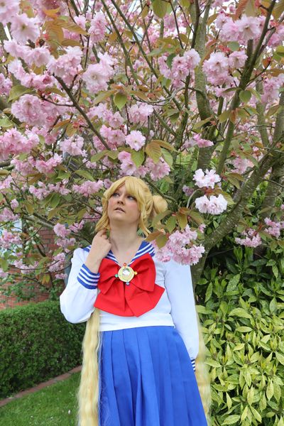 Amy-sama - Usagi Tsukino 