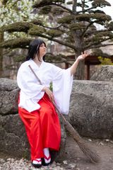 Rei Hino Miku preview 3