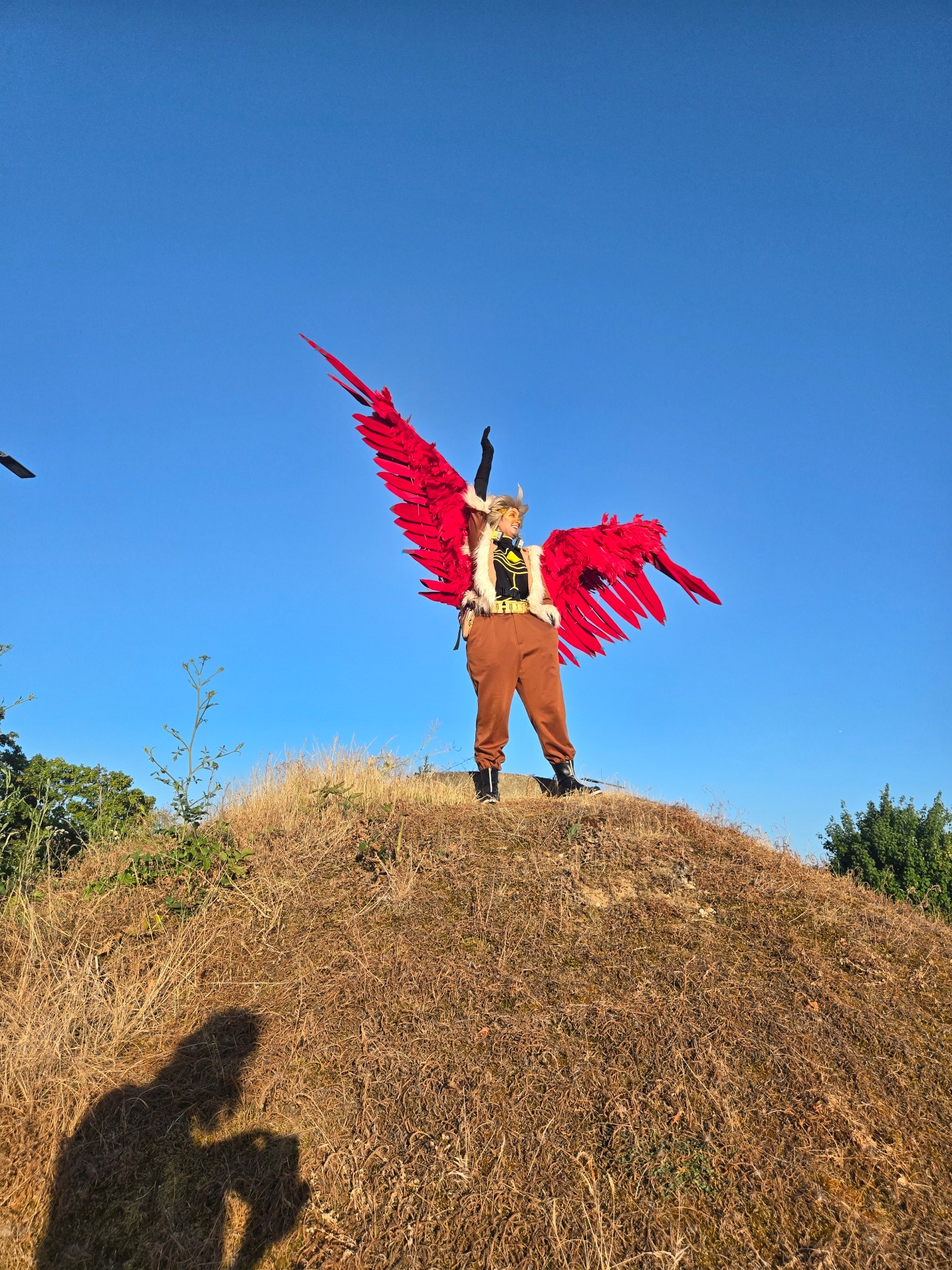 Hawks — photo 211