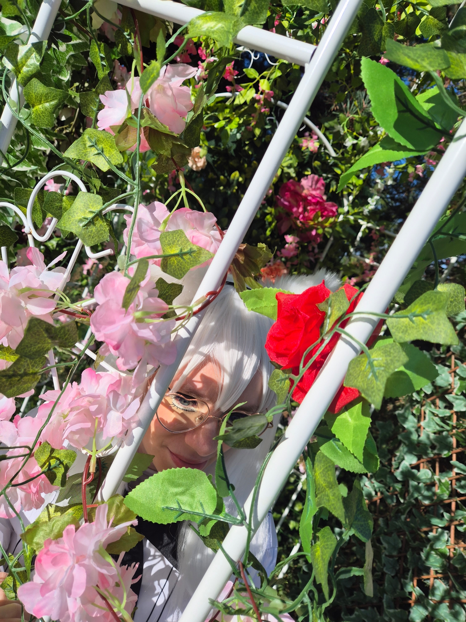 Sortie de Koneko - Photo 20