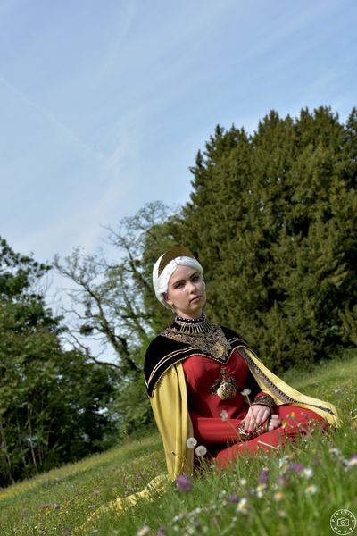 Sarteur - Cos'Castle