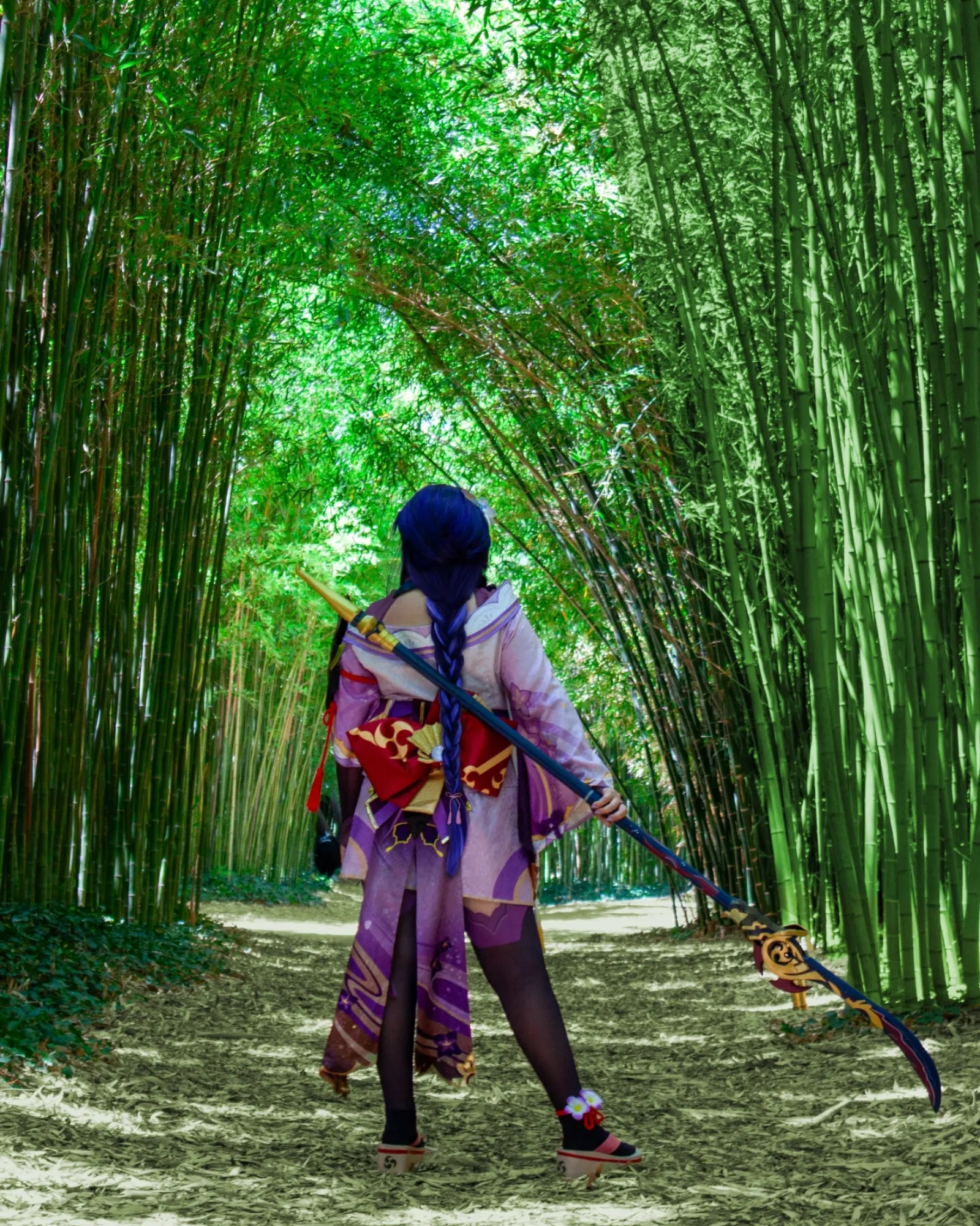 Raiden Shogun — photo 9