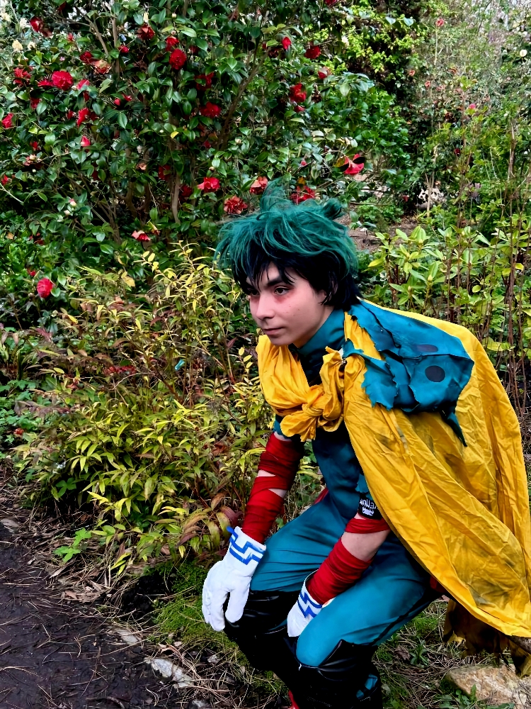 Japan Party - Photo 2