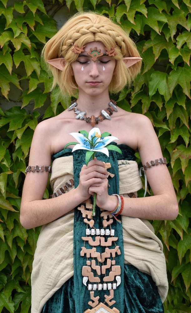 Zelda — photo 13