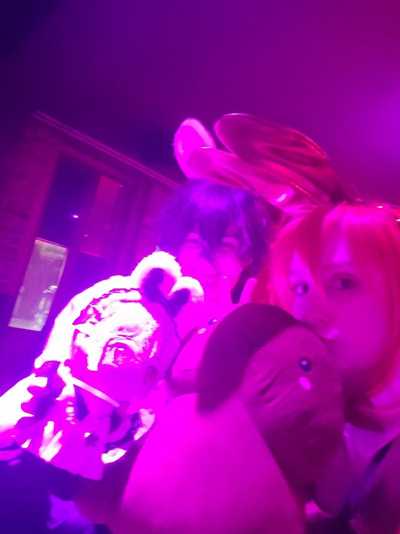 Pangofan – Chaotic Bunny Shura