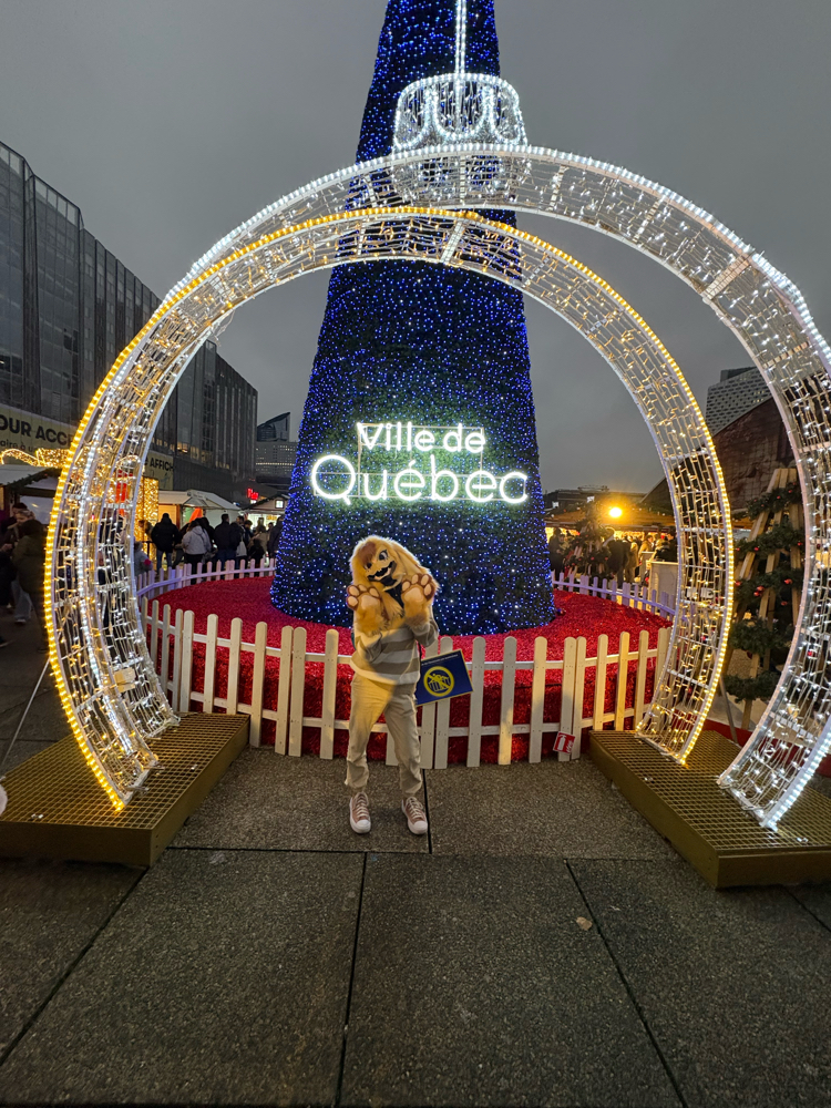 Photos Tapioca - Photo 12