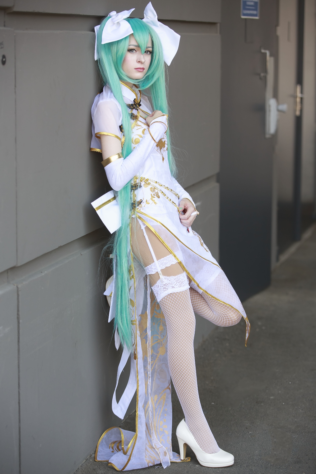 Miku chinese canary — photo 5