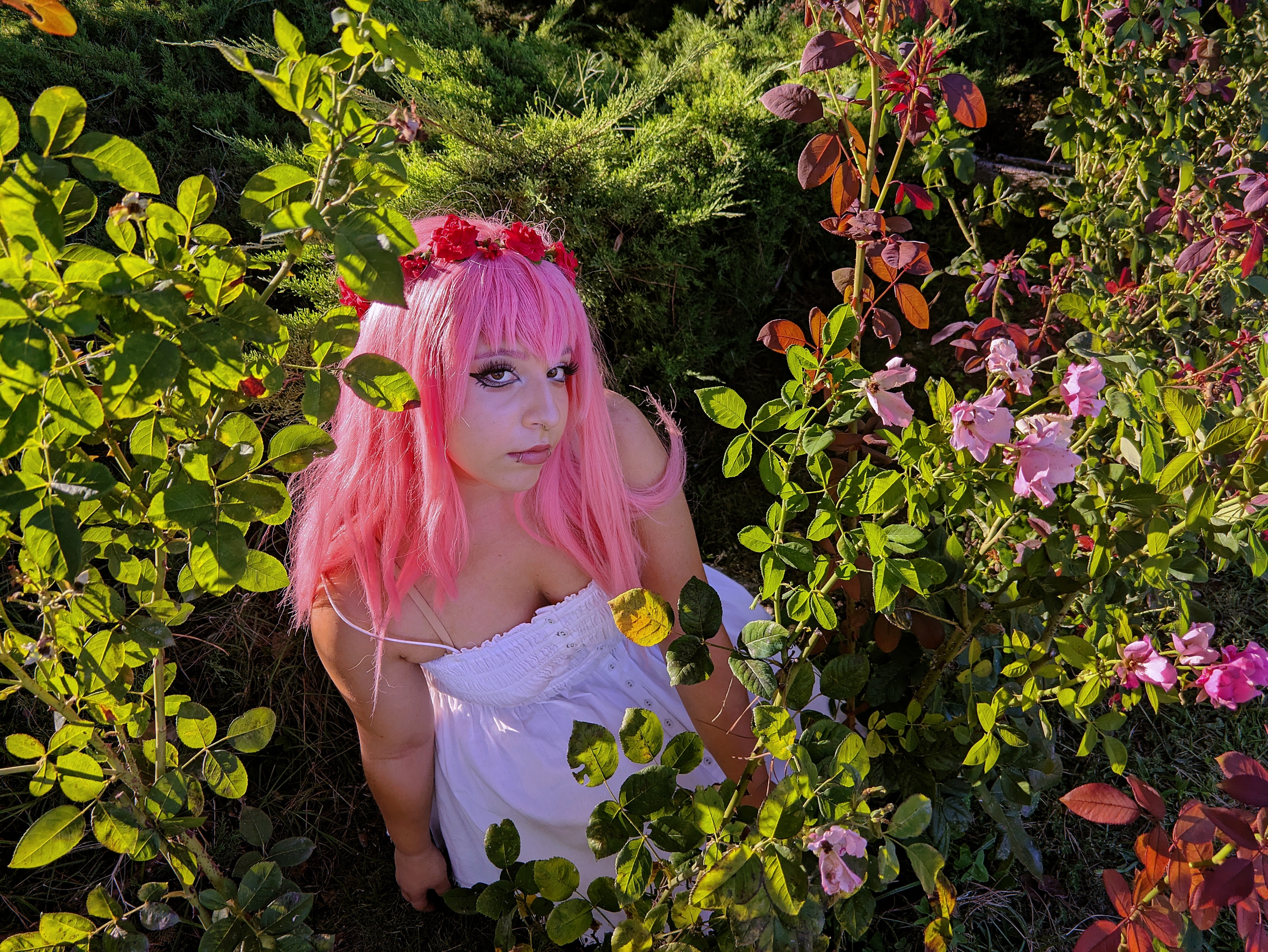 Megurine Luka, photo 7