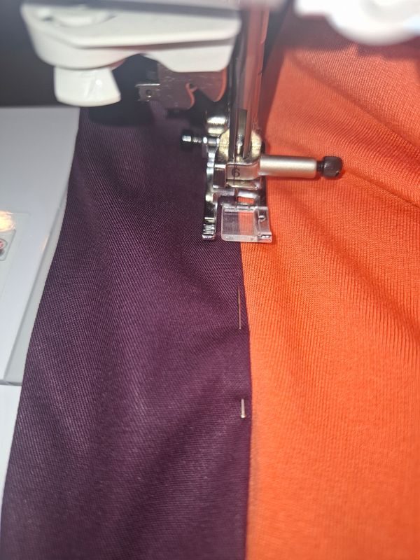 R-cos – WIP Head lady in waiting