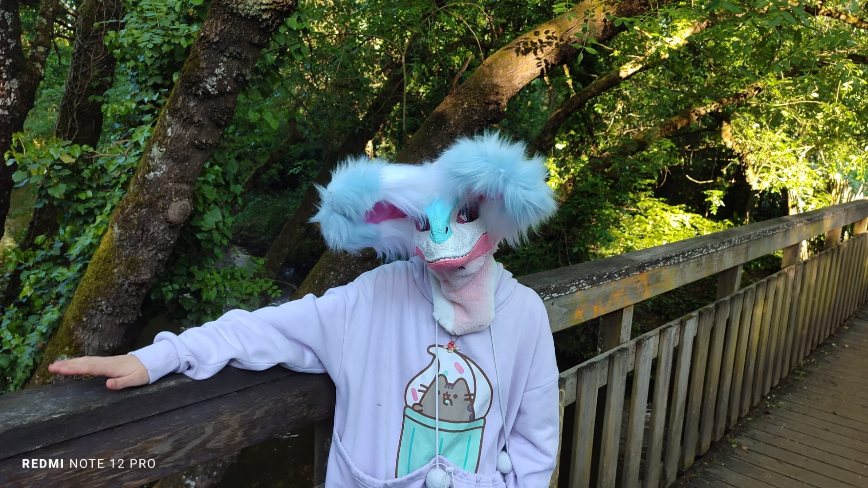 Debut du printemps  - Photo 47