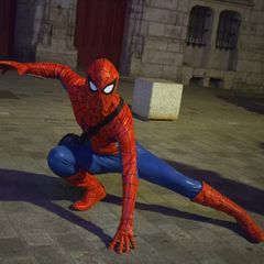 Spider-Man (BND) preview 3