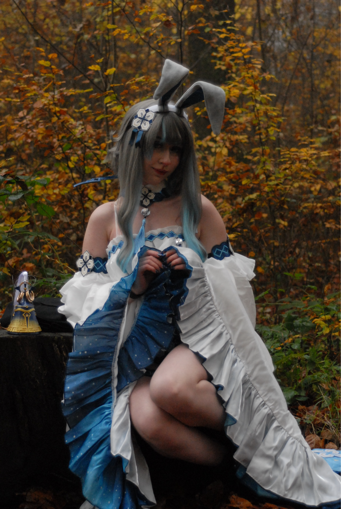 Guizhong Bunny - Photo 8