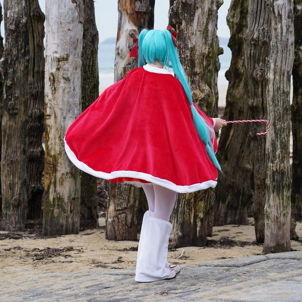 Cospleen - Miku Christmas JPS