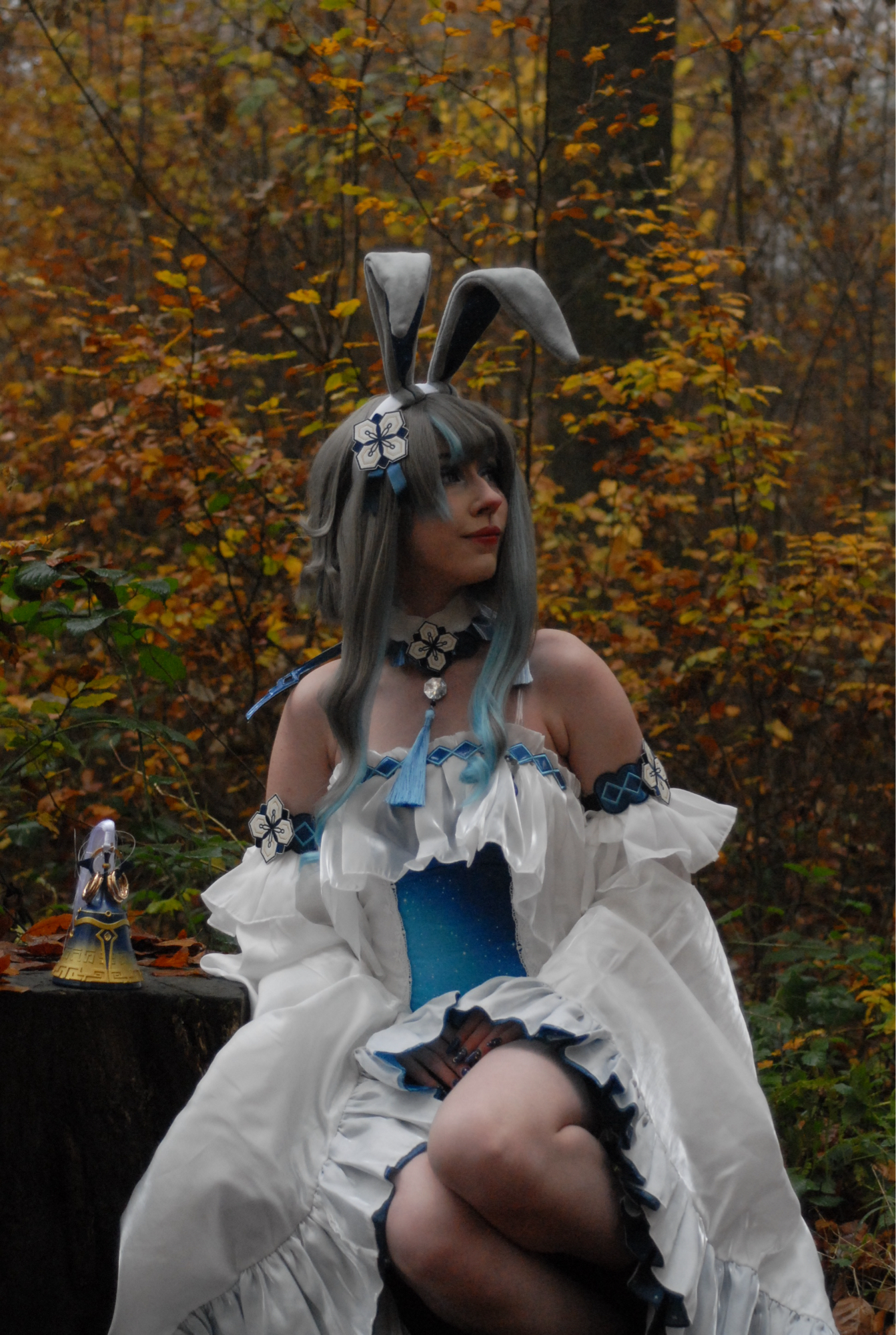 Guizhong Bunny - Photo 26