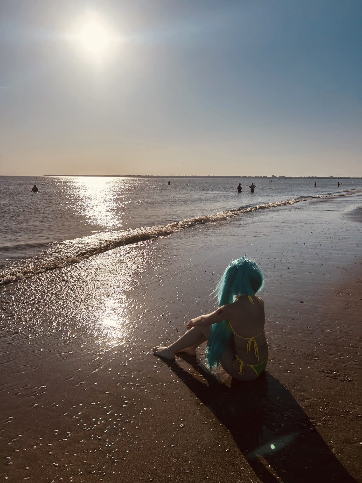 Brazilian Miku — photo 7