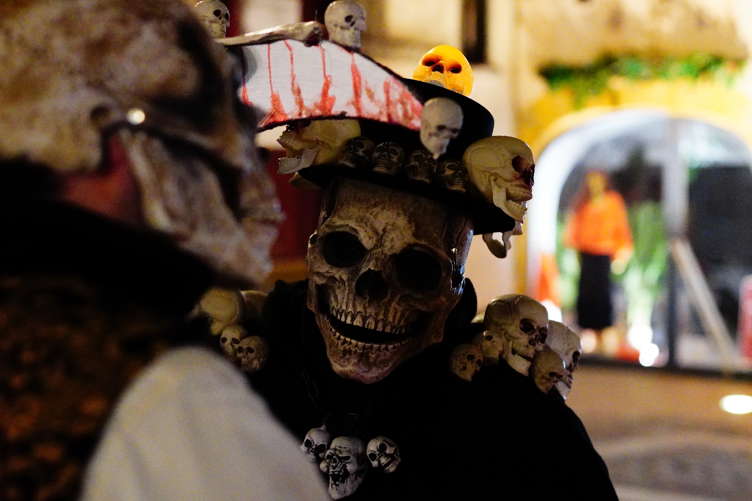 Grande faucheuse  - Photo 3