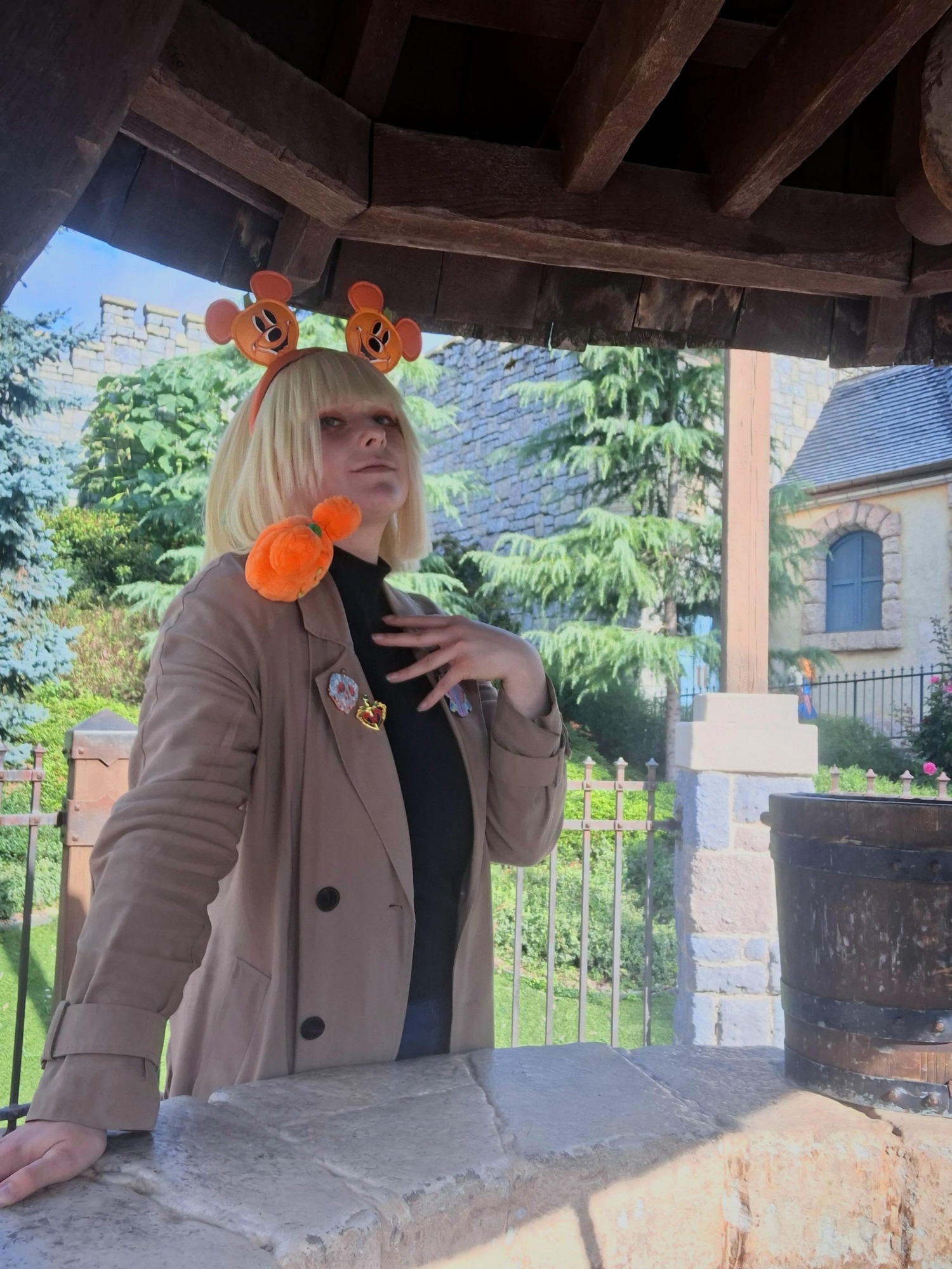 Rook at disneyland, photo 5
