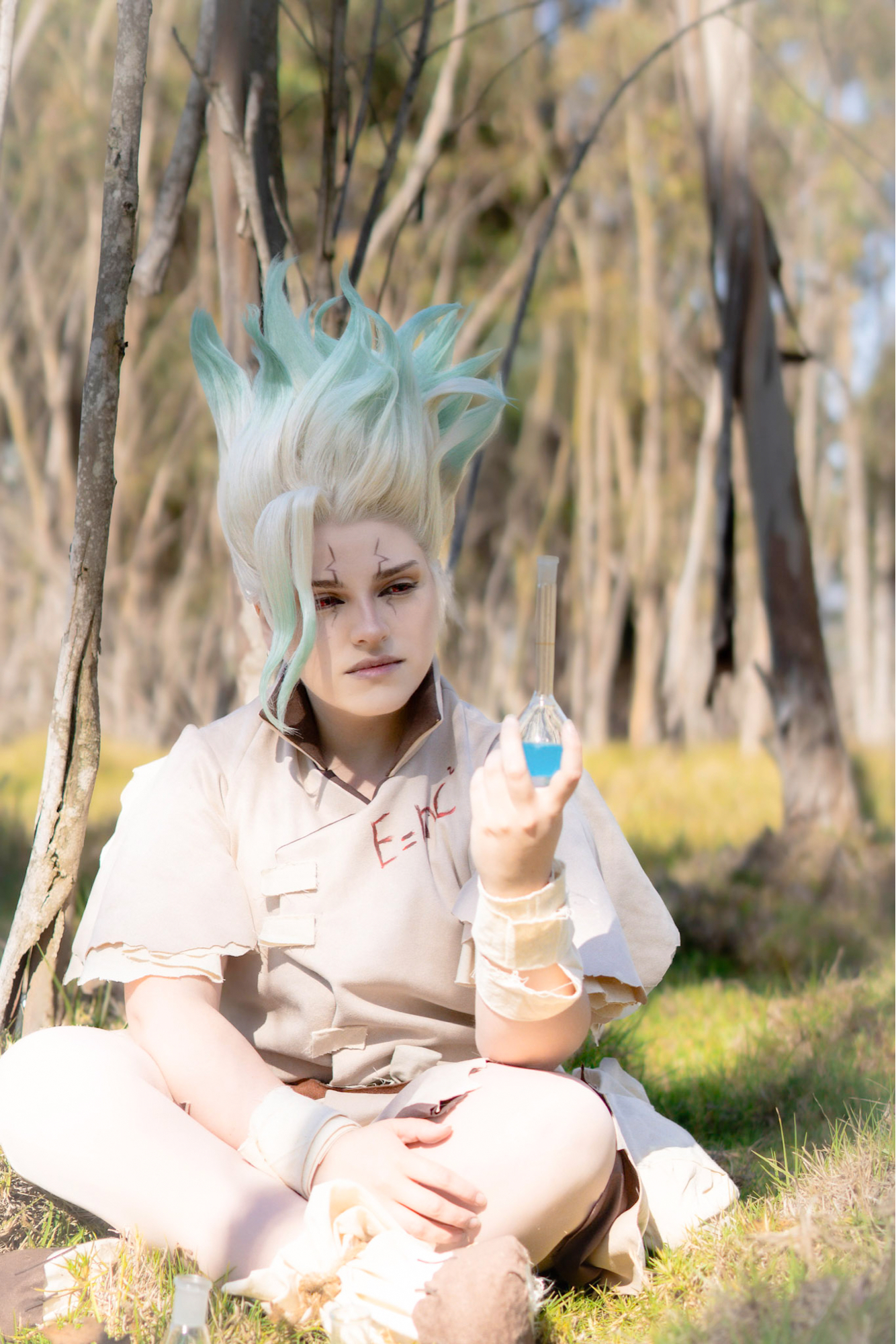 Senku — photo 5