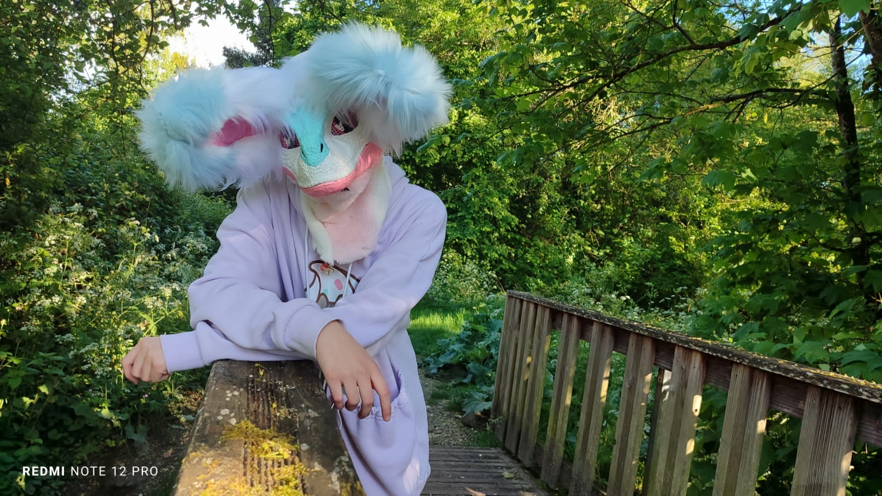 Debut du printemps — photo 20