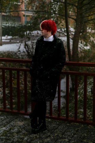 Shoto Todoroki
