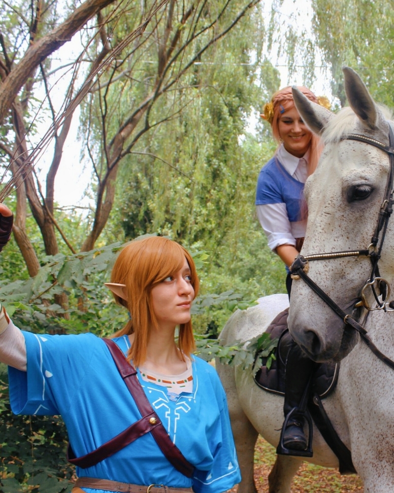 Link (Botw) - Photo 12