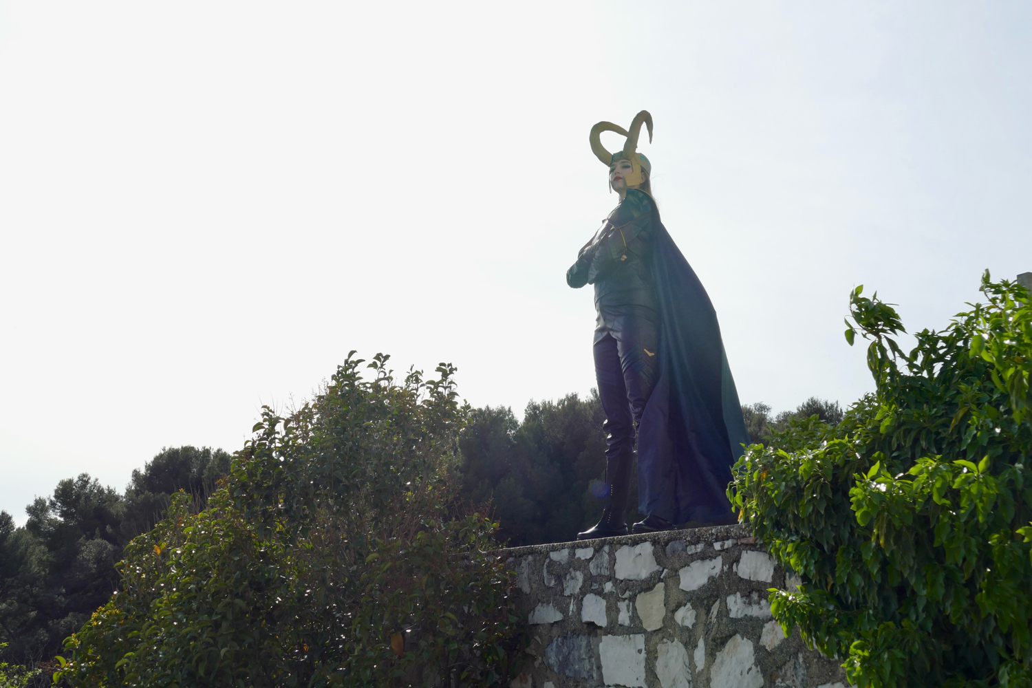 Loki — photo 6