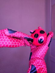 Ladybug preview 2