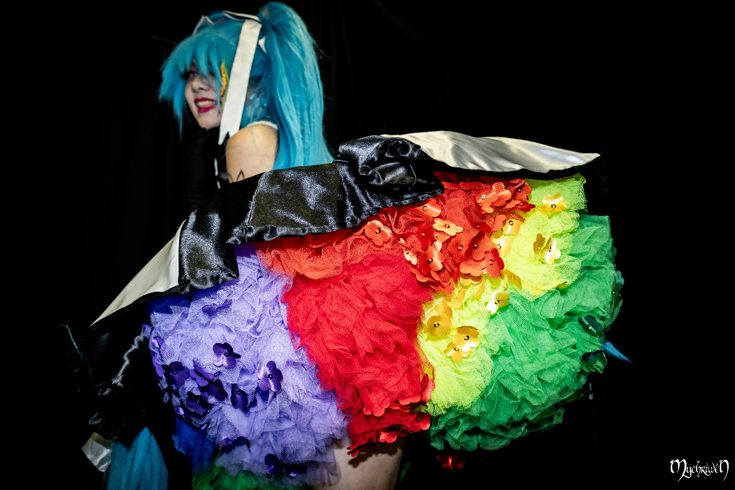 Pictapop 2024 - Photo 3