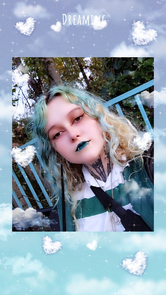 La forêt interdite - Photo 33