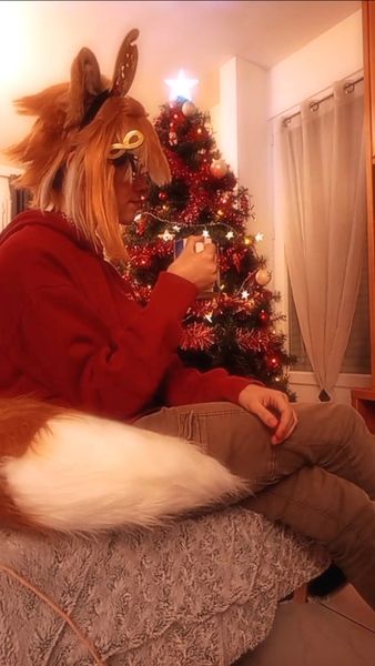 Shoyo - Gorou de Noël 