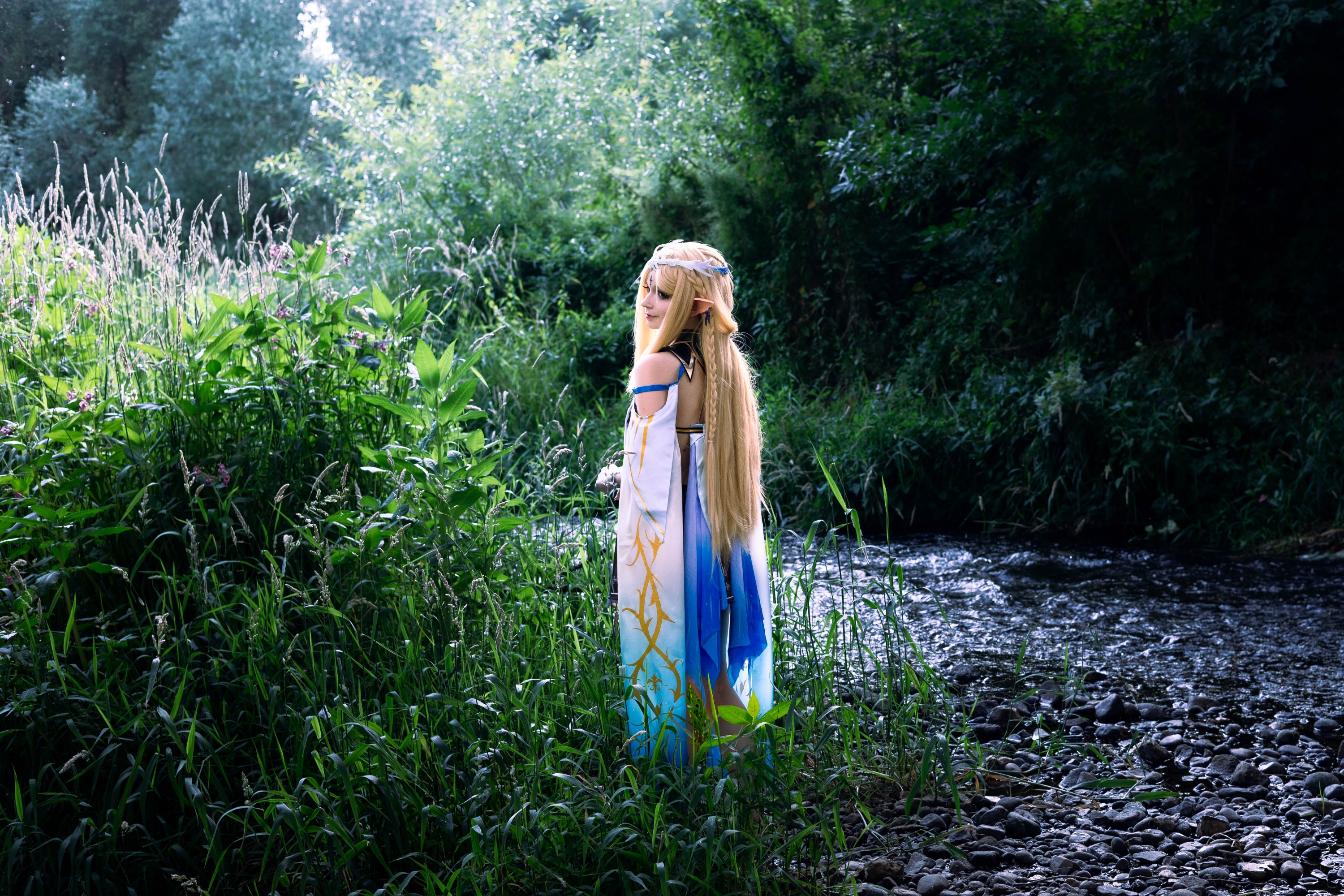 Cartethyia  - Photo 17