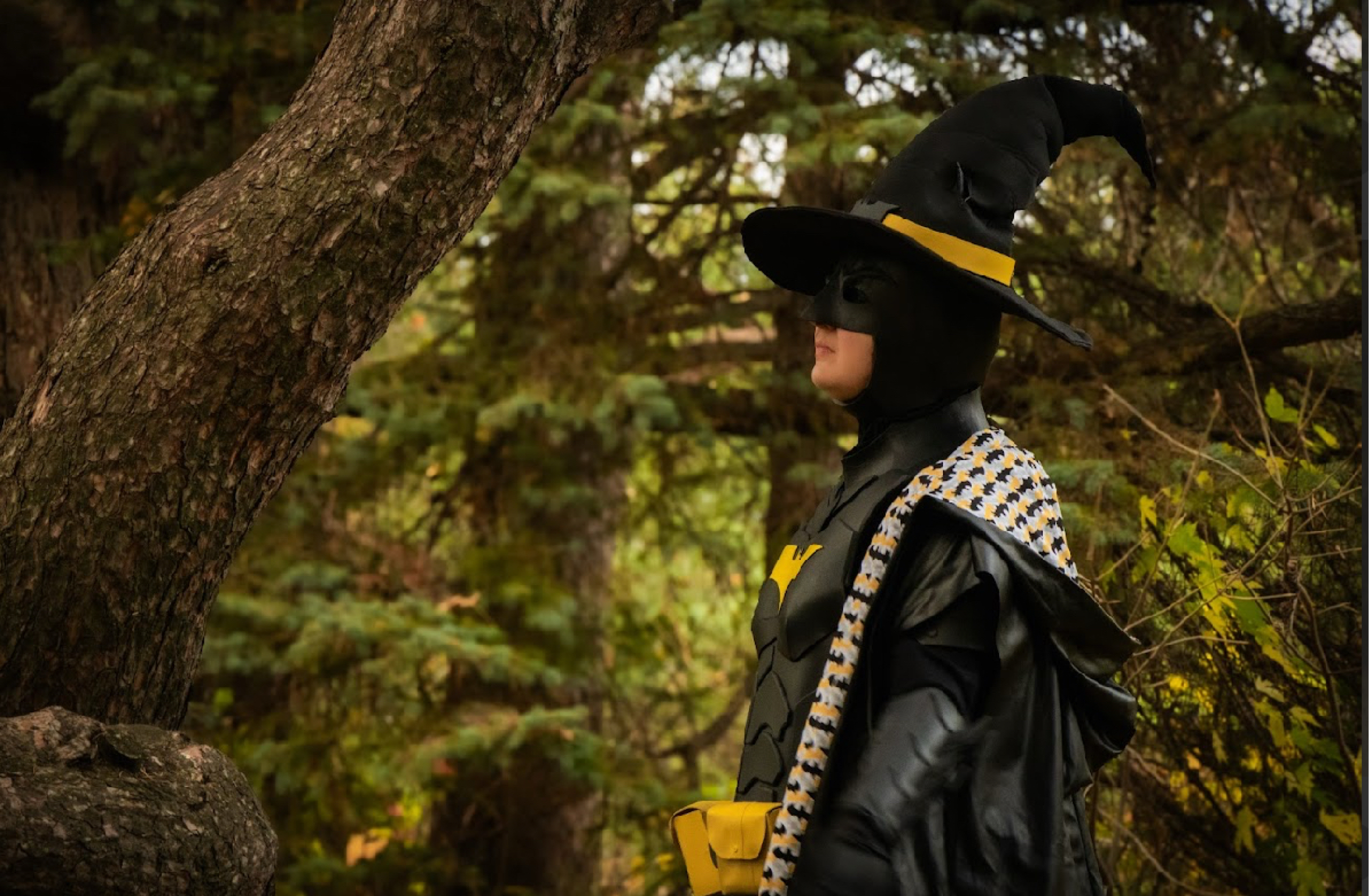 Batman Wizard — photo 9