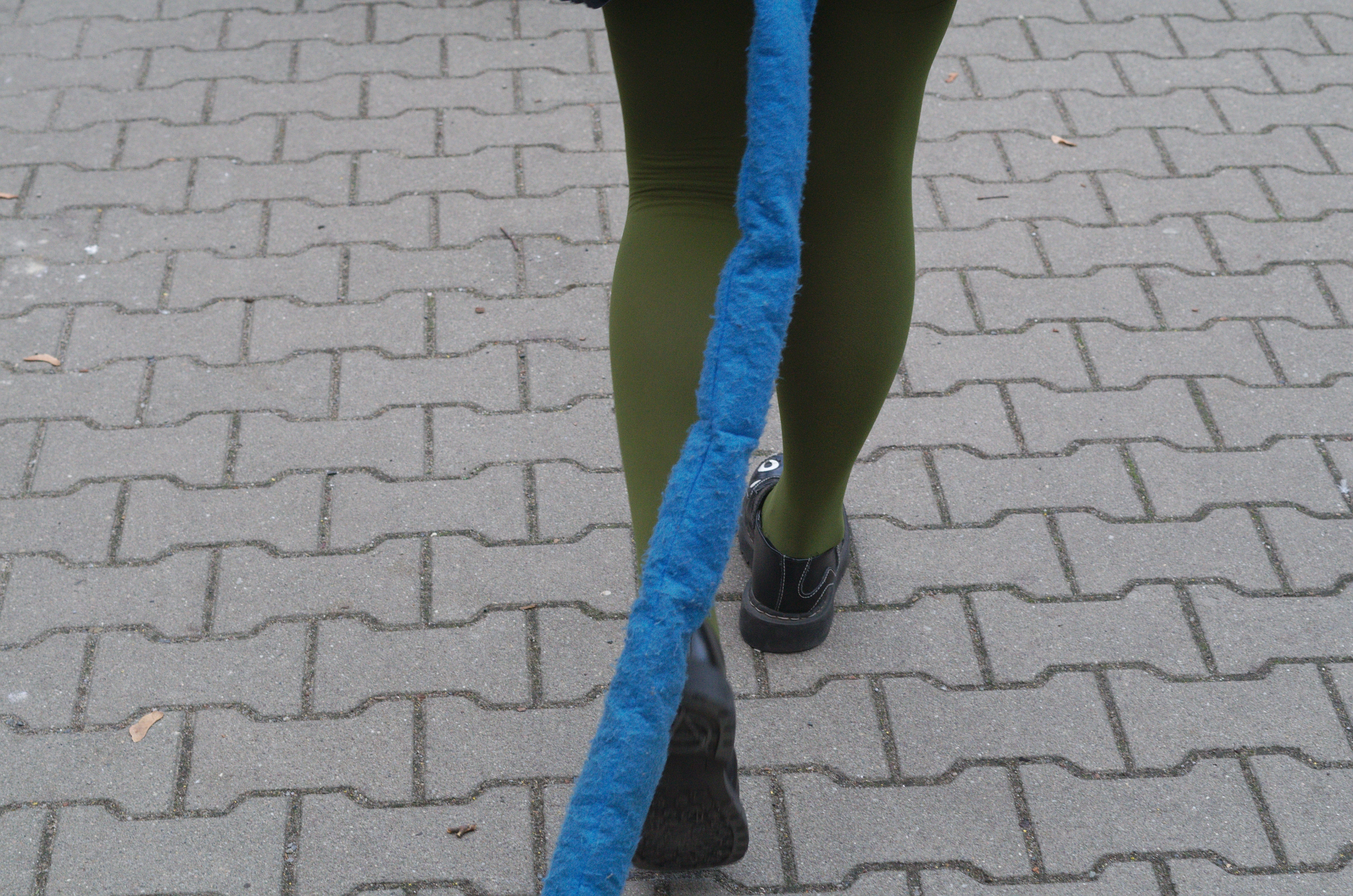 Meulin Leijon - Photo 5