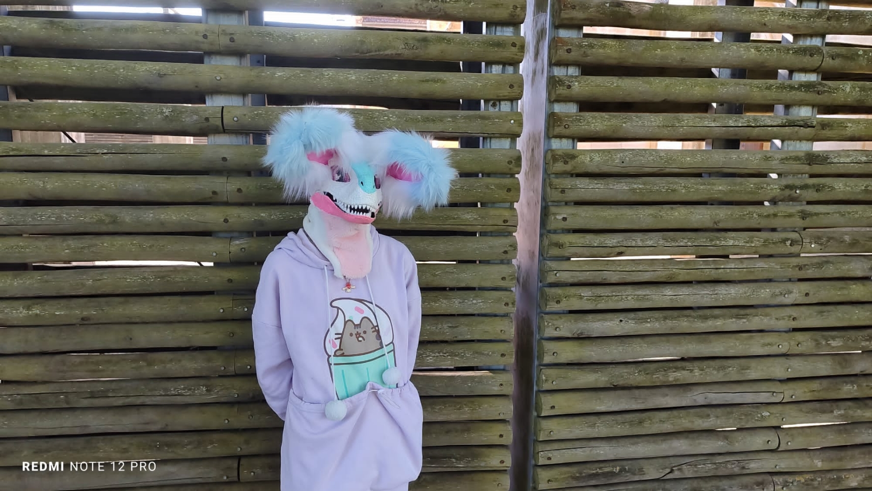 Debut du printemps  - Photo 13