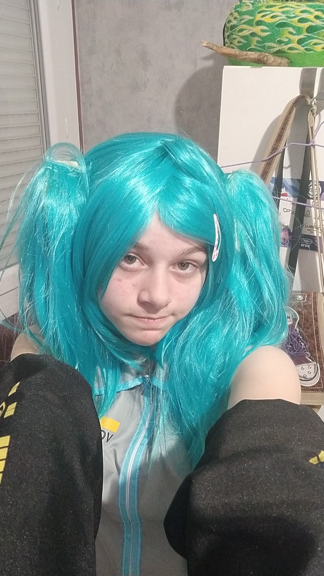★Hatsune Miku★ — photo 5