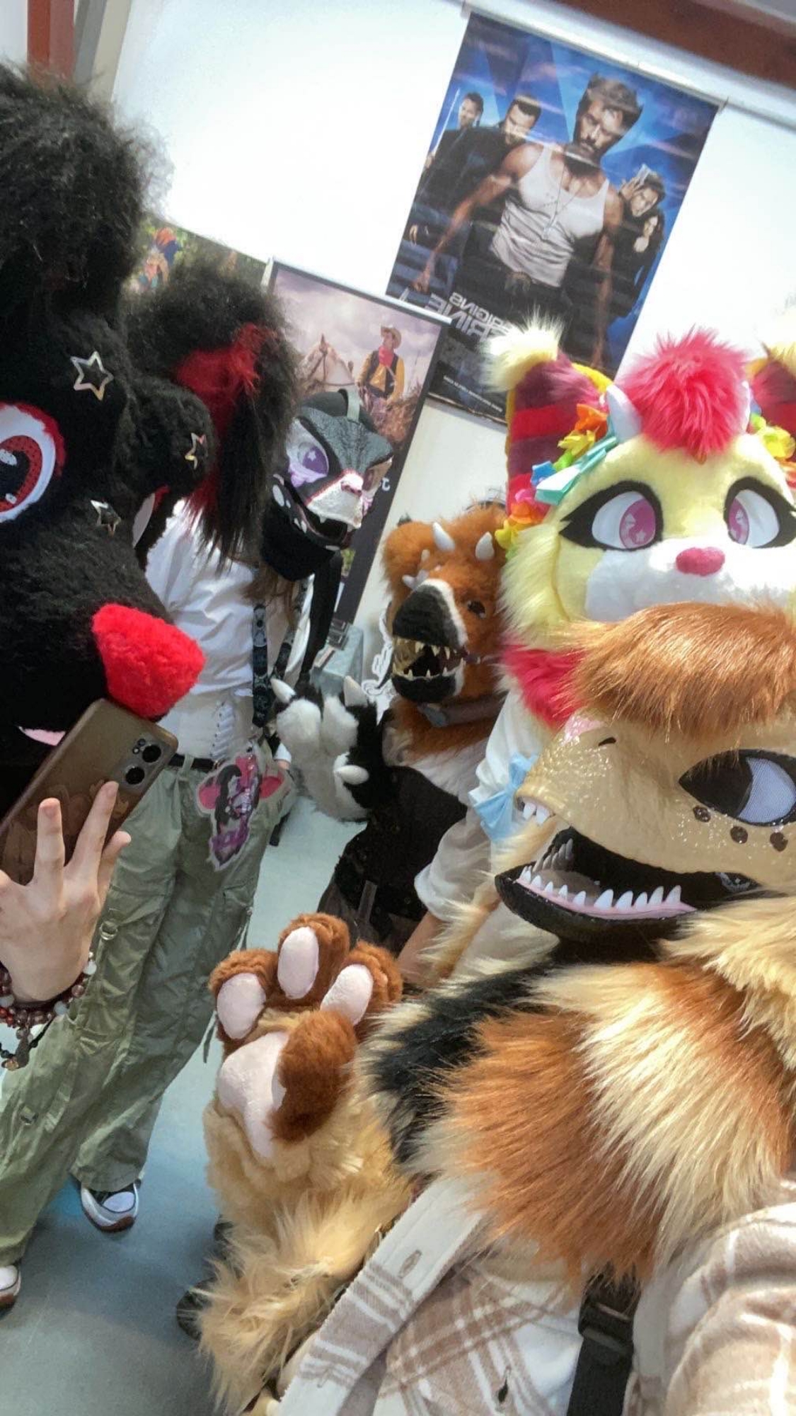 Conv/furmeet  - Photo 7
