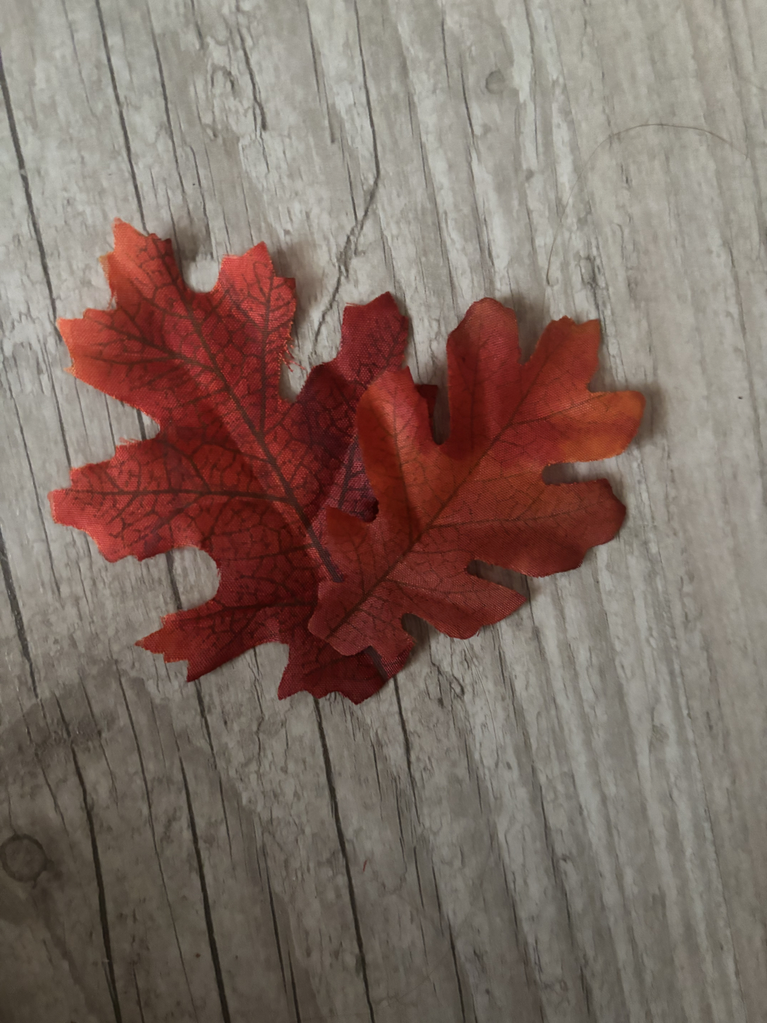 Feuille (Mao Mao) - Photo 2